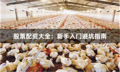股票配资大全：新手入门避坑指南