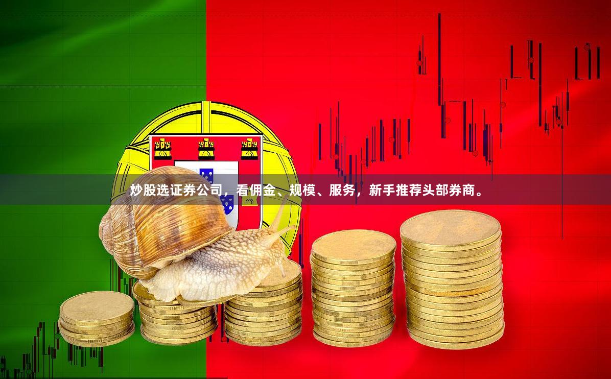 炒股选证券公司，看佣金、规模、服务，新手推荐头部券商。